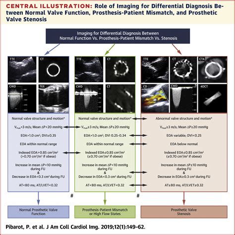 Imaging For Predicting And Assessing Prosthesis Patient Mismatch After
