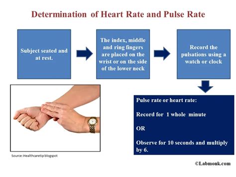Determination Of Heart Rate And Pulse Rate Of The Patient Labmonk
