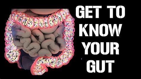 Get To Know Your Gut Youtube