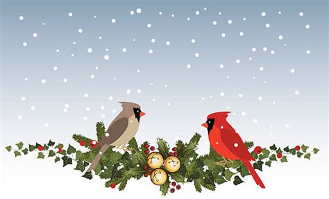 Christmas holly and ivy clipart, free portable network graphics (png) archive. Holly And Ivy Illustrations, Royalty-Free Vector Graphics ...