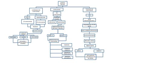 El estudio de los genes y de cómo estos son transmitidos de una generación a otra es el campo de estudio de la genética de la herencia. Genetica Humana: marzo 2013