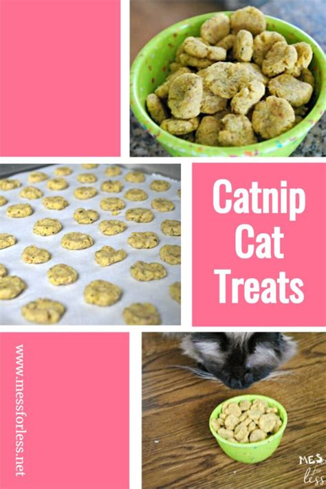 Catnip Cat Treats Recipe Mess For Less