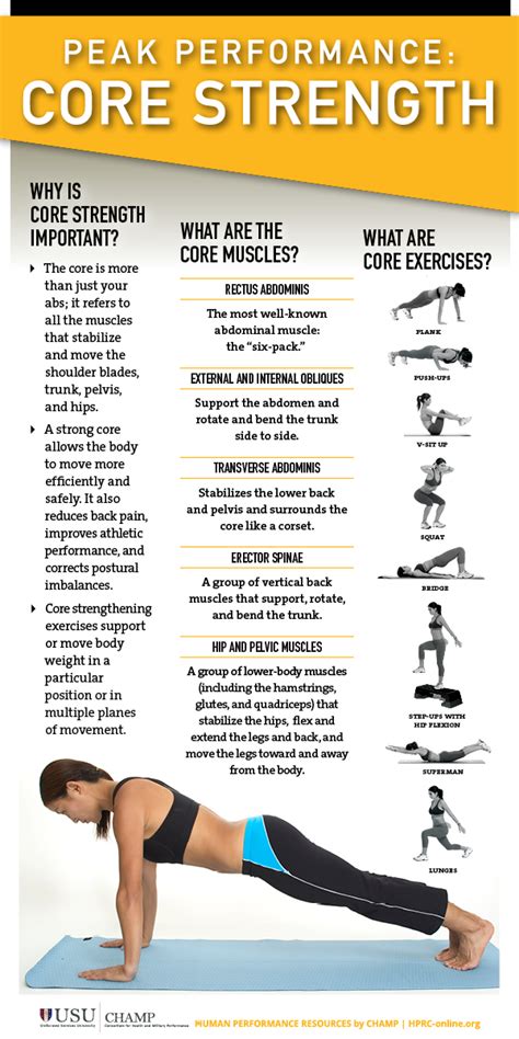 Core Muscles Of The Body