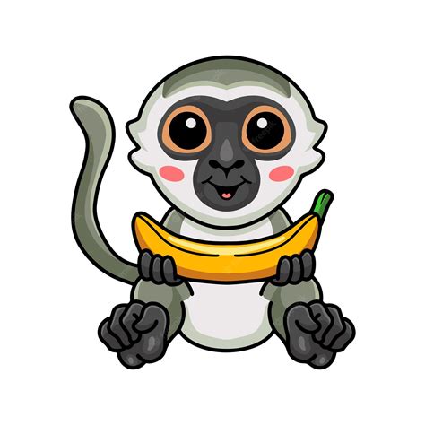 Premium Vector Cute Little Vervet Monkey Cartoon Holding A Banana