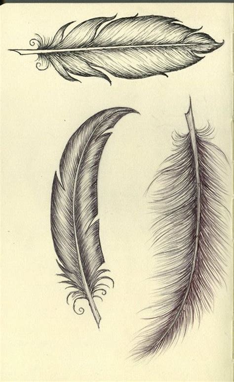 Simple Feather Tattoo Outline