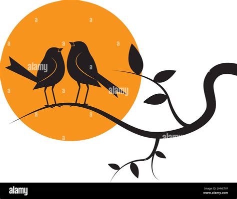 Birds Couple On Branch On Sunset Vector Birds Silhouettes