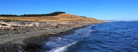 We have wanted to visit san juan islands, washington for a long time — even before we moved to washington state. 5 Fun Ways to Explore History on San Juan Island ...