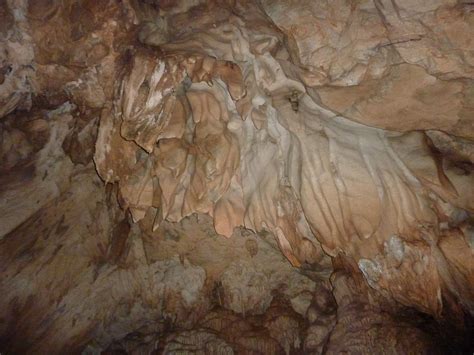 60 millionen jahre der entstehung einführung. Asien 2010