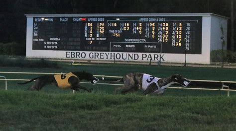 How Many Dog Racing Tracks Are There In The State Of Florida