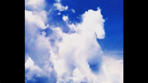 Horse In The Clouds Clouds Horses Outdoor