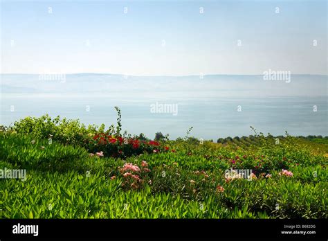 Sea Of Galilee Lake Tiberias Israel Stock Photo Alamy