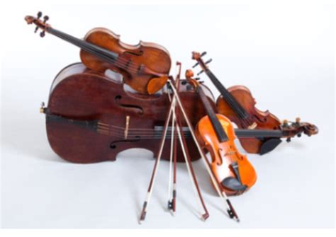 Musikschule Wildberg Streichinstrumente