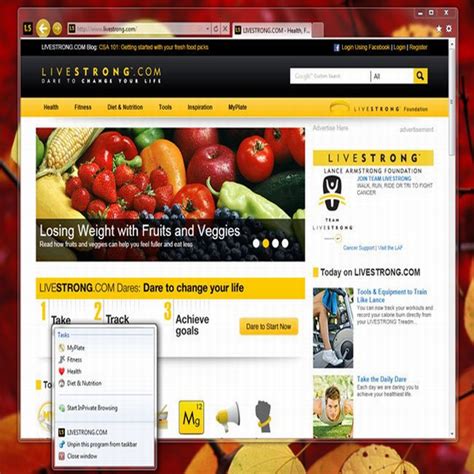 Anzeigen des browserverlaufs und löschen bestimmter websites. Donde descargar Internet explorer 9.0 version beta
