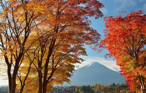 Wallpaper Autumn The Sky Leaves Trees Lake Home Japan Mount Fuji