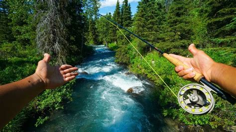 Fly Fishing A Small Alaskan Creek Youtube