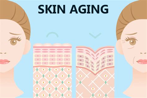 Signs Of Skin Aging And How To Fix Them Diy Home