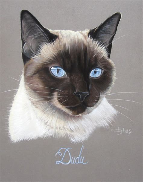 Vous aimez à la fois les minous et tout ce qui touche au domaine artistique ? Portrait de chat siamois (pastels secs)