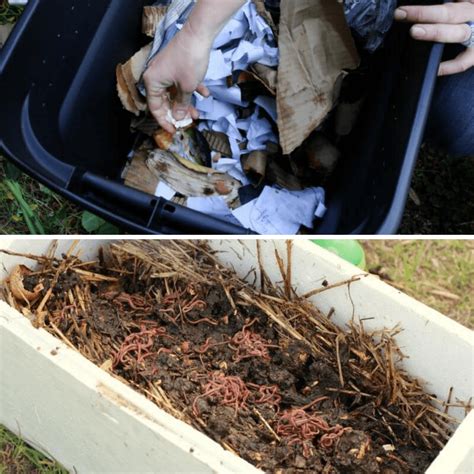 Making A Worm Farm With Children Eco Fun And Early Learning