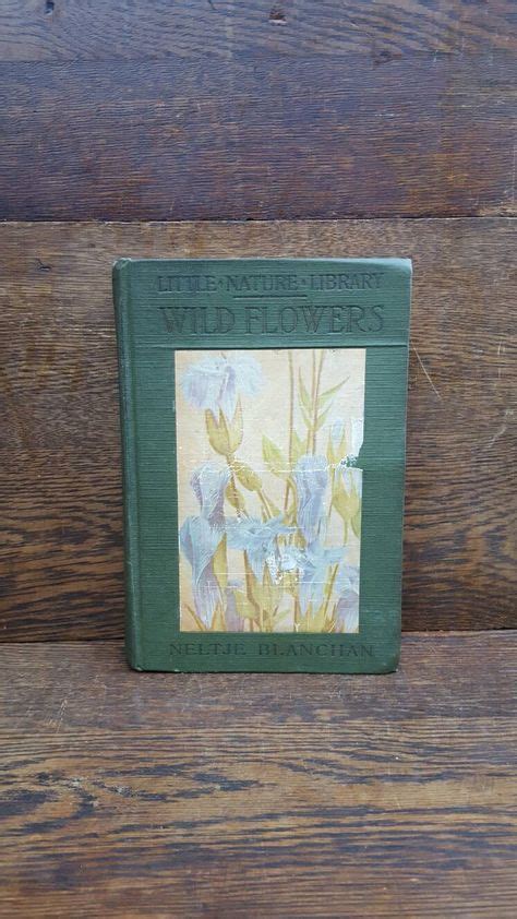 Little Nature Library Wild Flowers Worth Knowing By Neltje Blanchan