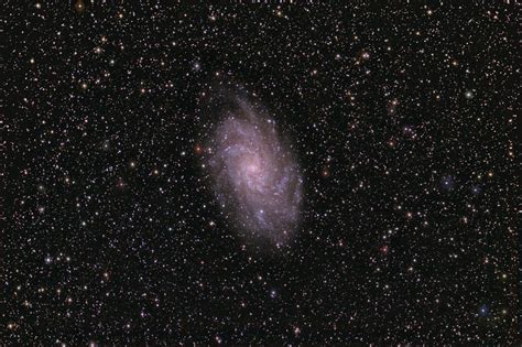 M33 Pinwheel Galaxy C8 Hyperstarsxvr M25c 5min X 66 Over Seiji