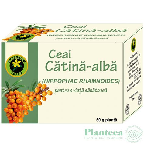 Ceai Catina Alba G Hypericum Plant Pret Lei Planteea