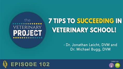 How To Succeed In Veterinary School Youtube