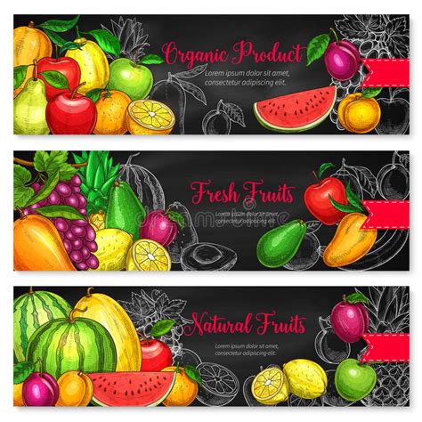 Tropical Exotic Fruits Stock Illustrations 33612 Tropical Exotic