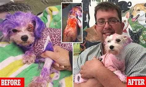 Try not to let the water stain with other bright, fun colors for stylish pets. Dog almost dies when her owner uses human hair dye on pet ...