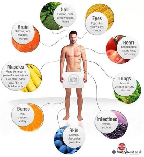 The Types Of Healthy Foods Your Body Needs Ballsie