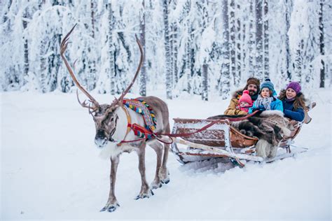 Reindeer Farm Visit Access Lapland