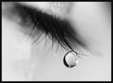 The Price Of The Tears Eghaliter The Musafir