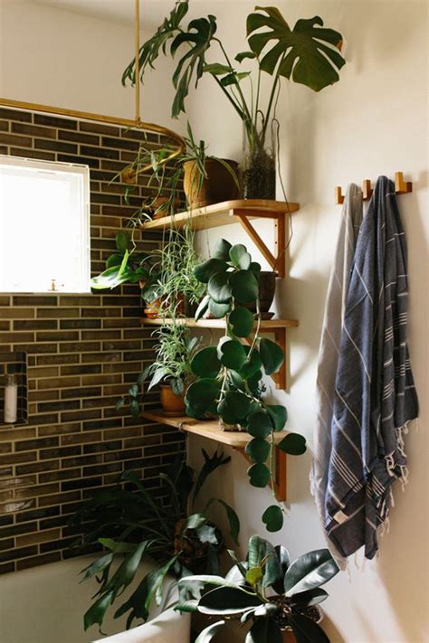 Or that's monitored carefully against cold and damp. 5 Smart Thinking Ways To Bathroom Gardening | Home Design ...