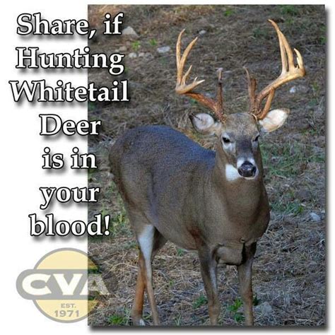 Funny Deer Hunting Quotes And Sayings Quotesgram