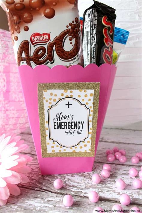 We did not find results for: Mom's Emergency Relief Kit (Free Printable) Moms & Munchkins