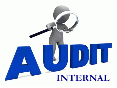 Apa Itu Internal Audit Fungsi Tujuan Dan Langkah Melakukannya