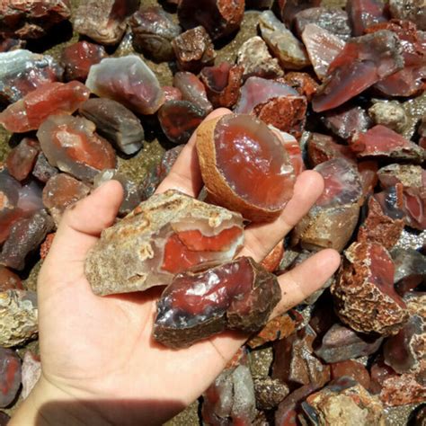 100g bulk lot natural rough carnelian raw stone crystal red agate mozambique us ebay