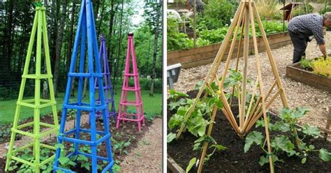 15 Diy Plant Supports And Cages You Need In Your Summer Garden Diy