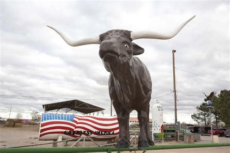 There are three different locations of crazy cat cyclery in el paso. Harvest Hosts: Licon Dairy