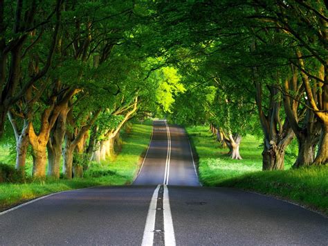 [47+] Animated Beautiful Nature Wallpaper on WallpaperSafari
