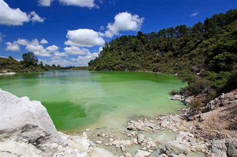 Image The Green Lake At Wai O Tapu Thermal Region Rotorua Geothermal