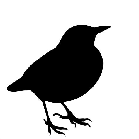 Bird Silhouette Blackbird Free Stock Photo Public Domain Pictures