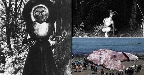 10 Terrifying Creatures On The Earth That Can Give You Nightmares