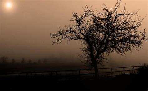 Grey Foggy Day By Richard Young On Deviantart