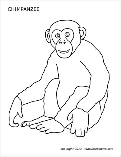 Chimpanzee Free Printable Templates And Coloring Pages Firstpalette