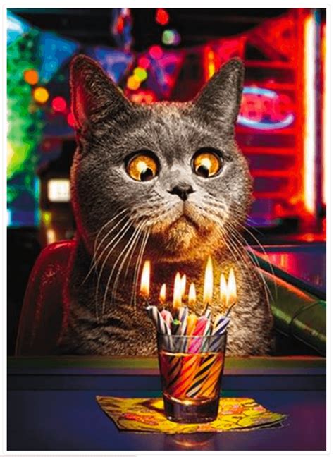 Happy Birthday Animated Cards Cat Birthday Greeting Card Happy