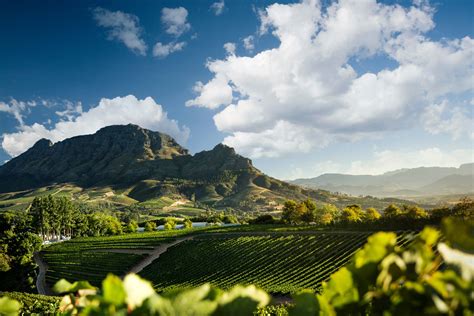 Wine Route 1 The Big Five In South Africa Klm Blog Vlrengbr