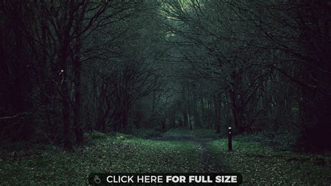 Dark Forest Dark Forest Aesthetic Nature Aesthetic Forest Wallpaper