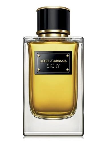 Velvet Sicily Dolceandgabbana Perfume A New Fragrance For Women 2018