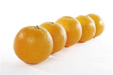 471 Five Oranges Stock Photos Free And Royalty Free Stock Photos From