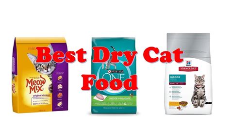 We can help you find grain free, organic and natural cat food brands that meet her unique nutritional needs. Top 10 Best Dry Cat Food 2018 - YouTube